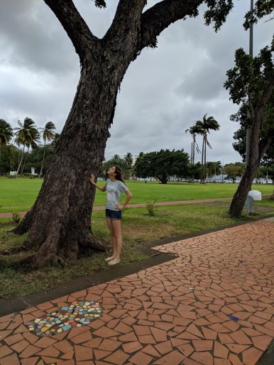 MVIMG_20190127_110824